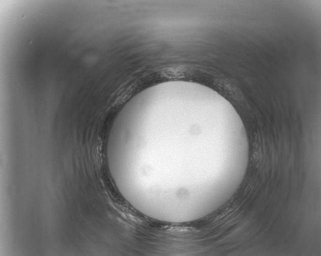 X0000059830332200510211028