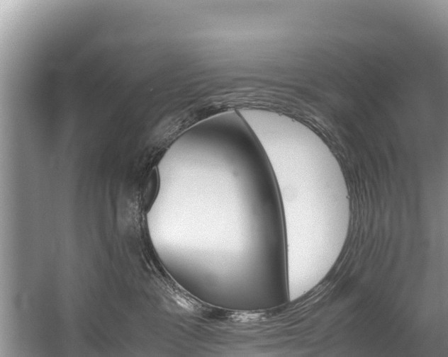 X0000059830333200510211028