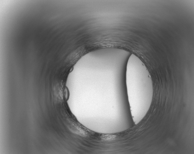 X0000059830334200510211028