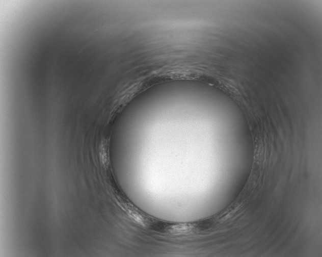 X0000059830335200510211028