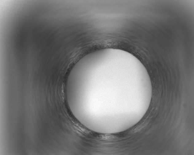 X0000059830336200510211028