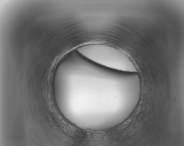 X0000059830337200510211027