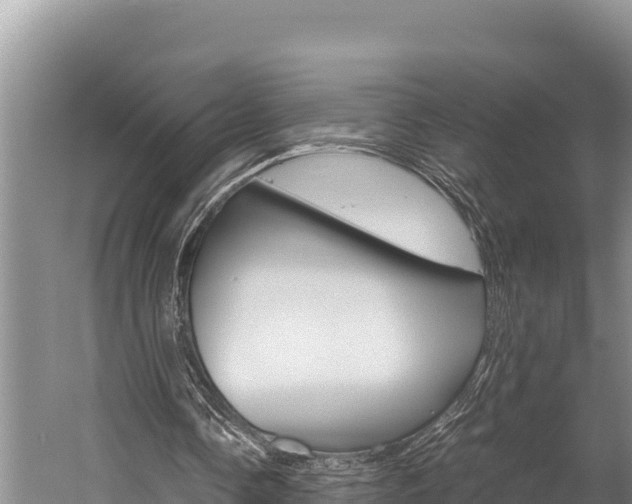 X0000059830338200510211027