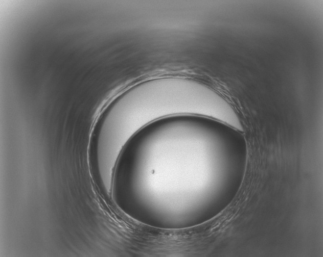 X0000059830340200510211027