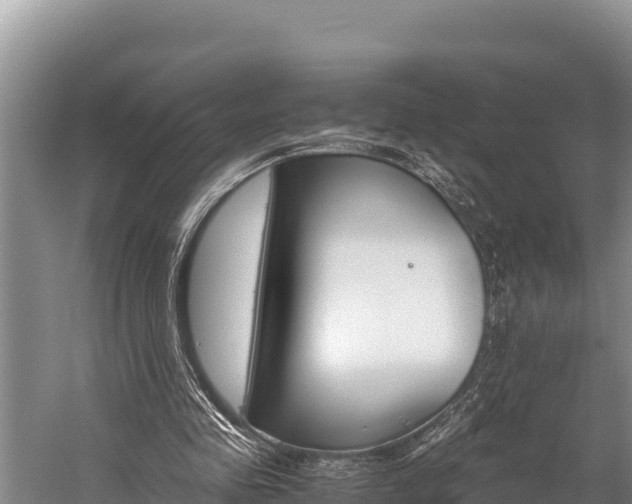 X0000059830341200510211027