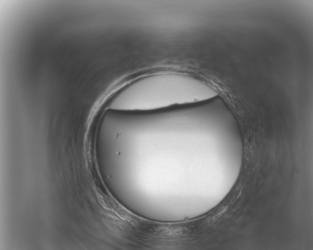 X0000059830343200510211027