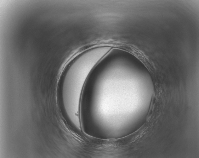 X0000059830344200510211027