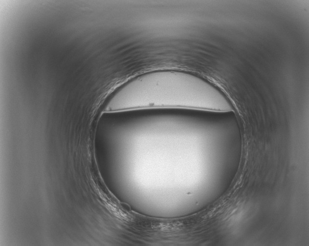 X0000059830345200510211027