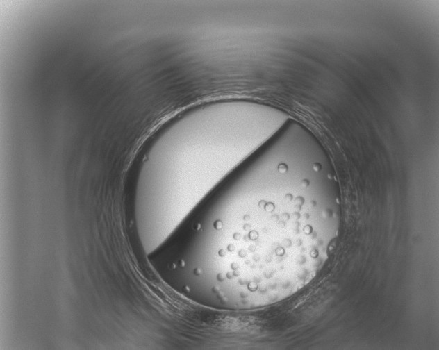 X0000059830346200510211027