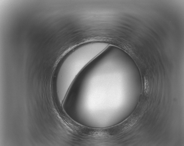 X0000059830348200510211027