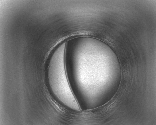 X0000059830350200510211028