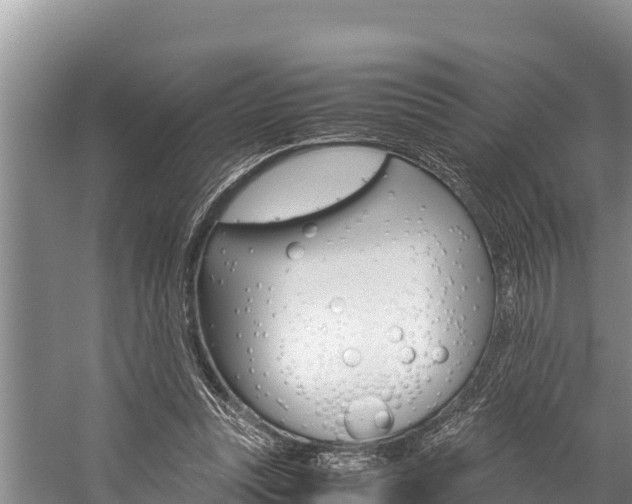 X0000059830351200510211028