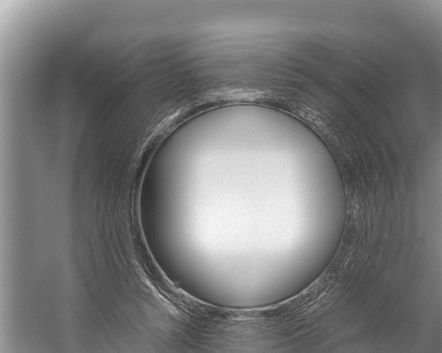 X0000059830352200510211028