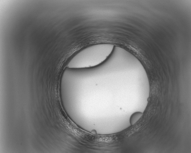 X0000059830353200510211028