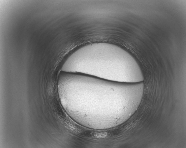 X0000059830355200510211028