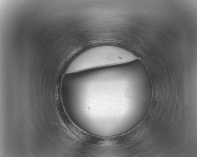 X0000059830356200510211028