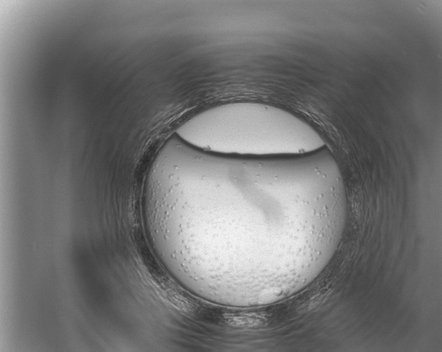 X0000059830359200510211028