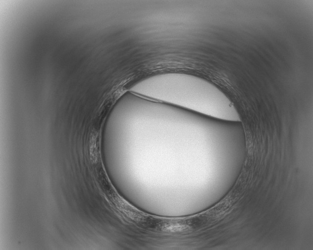 X0000059830360200510211028