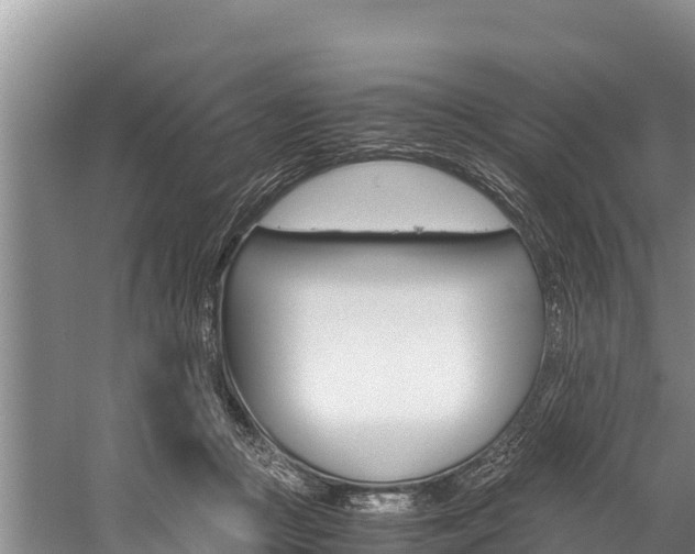 X0000059830361200510211028