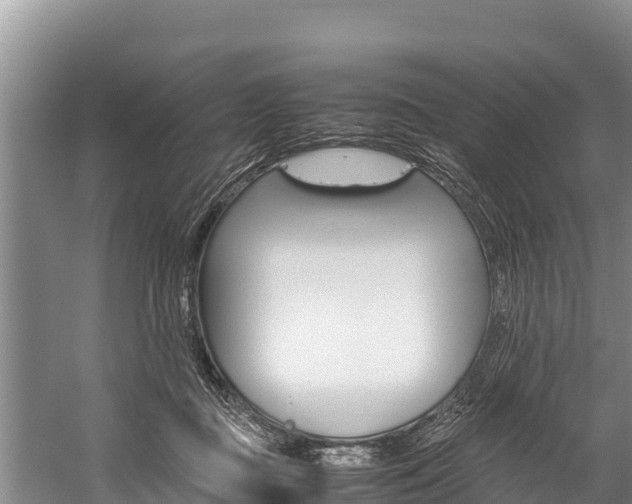 X0000059830363200510211028