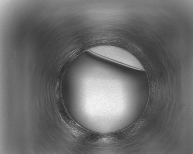 X0000059830364200510211028