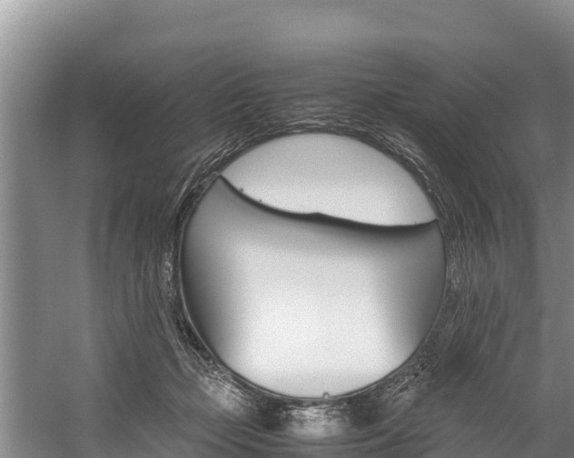 X0000059830365200510211028