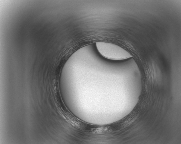 X0000059830366200510211028