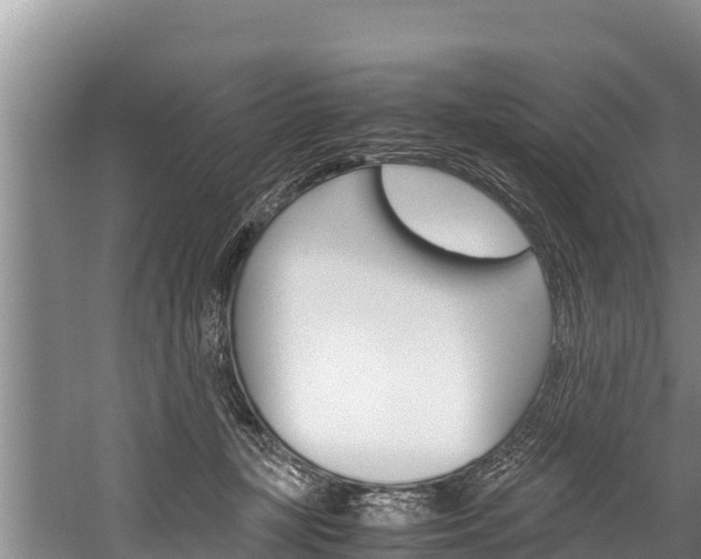 X0000059830367200510211028