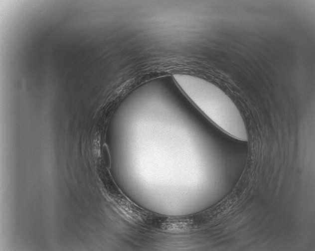 X0000059830368200510211028