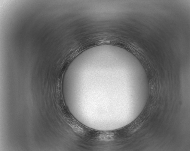 X0000059830369200510211028