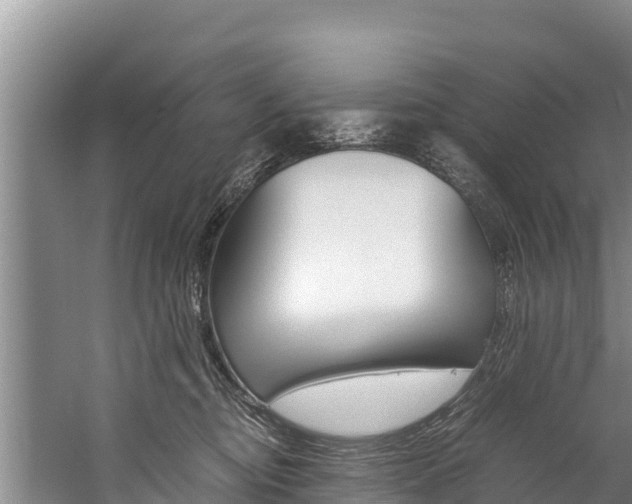 X0000059830374200510211028