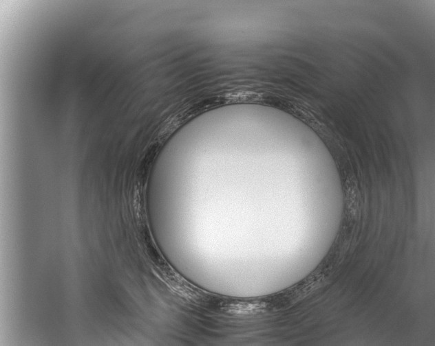 X0000059830375200510211028