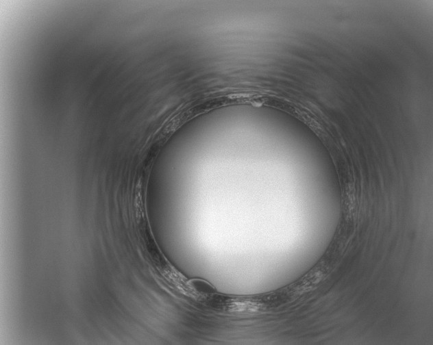 X0000059830376200510211028