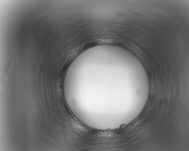 X0000059830377200510211028