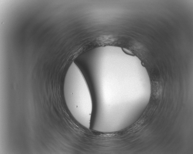 X0000059830378200510211028