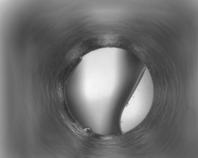 X0000059830380200510211028