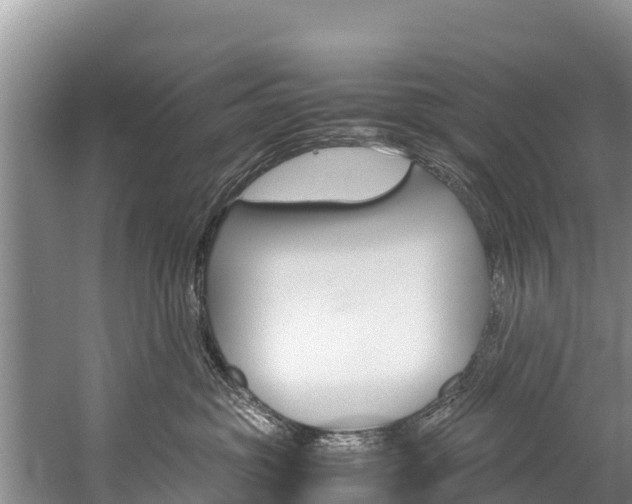 X0000059830381200510211028