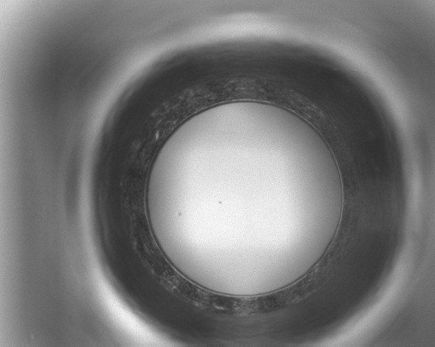 X0000059830382200510211028