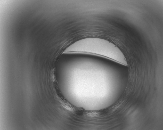 X0000059830383200510211028