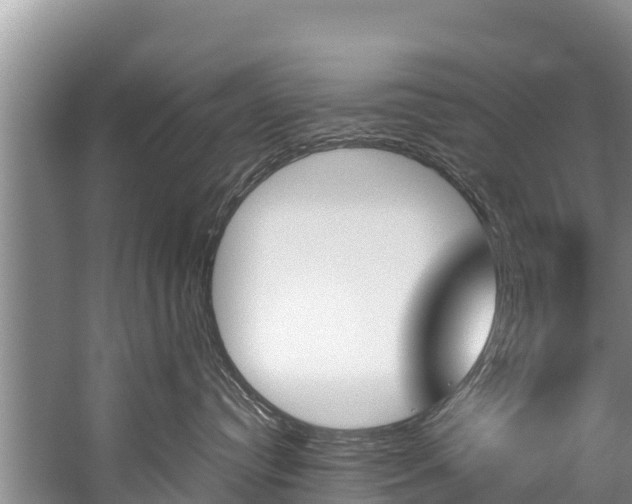 X0000059830384200510211028