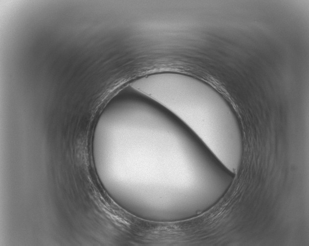 X0000059830386200510211027