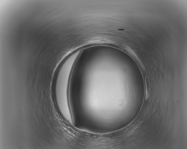 X0000059830387200510211027