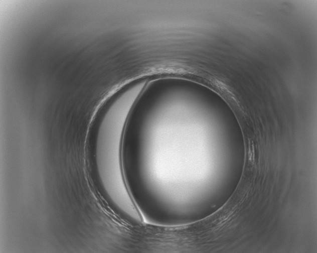 X0000059830388200510211027