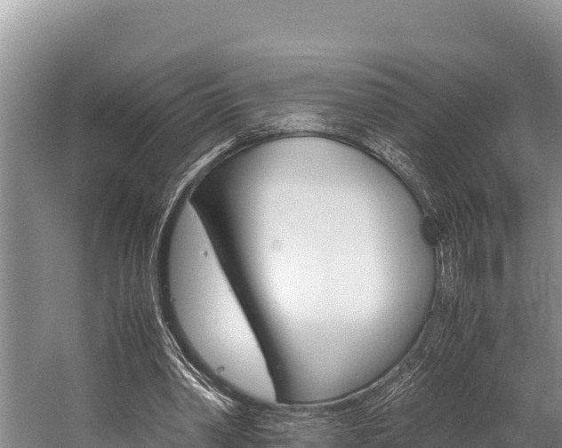 X0000059830390200510211027