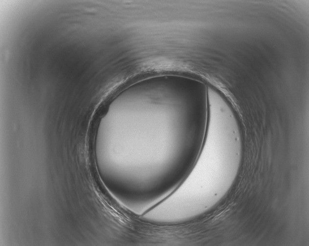 X0000059830391200510211027