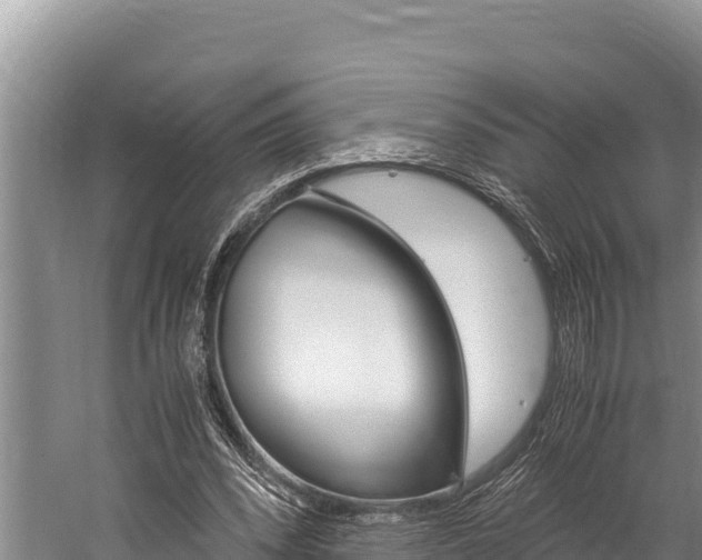 X0000059830392200510211027