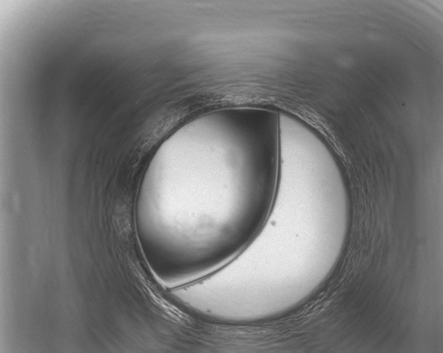 X0000059830393200510211027