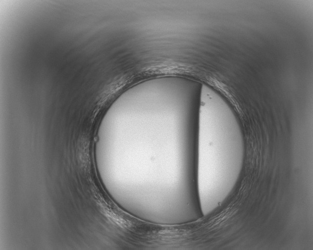 X0000059830394200510211027