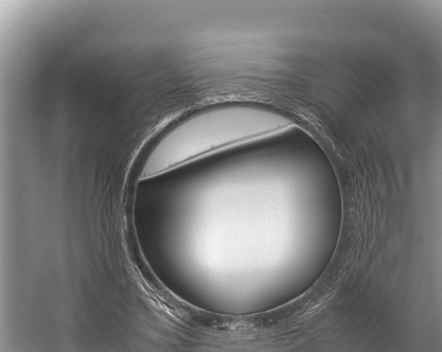 X0000059830395200510211027