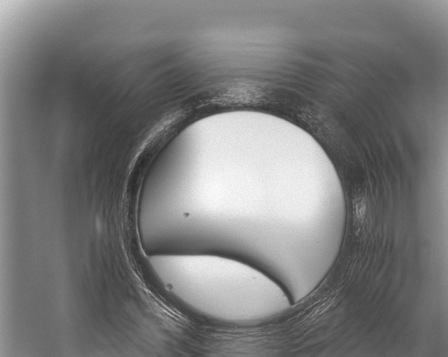 X0000059830396200510211027